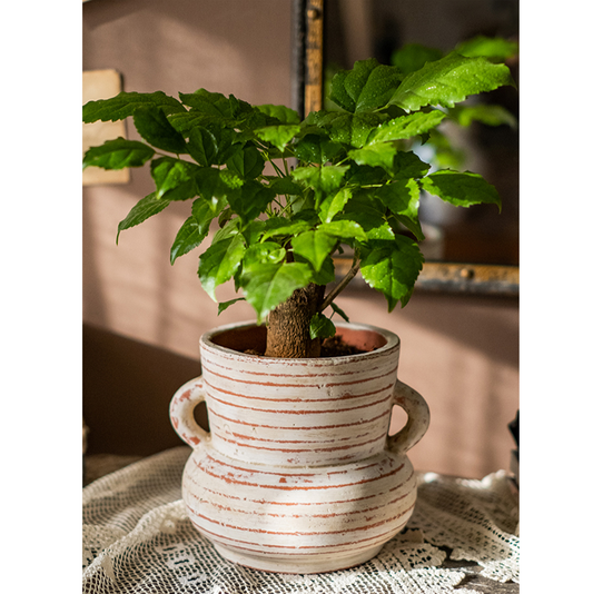Horizon Lines Vase & Planter