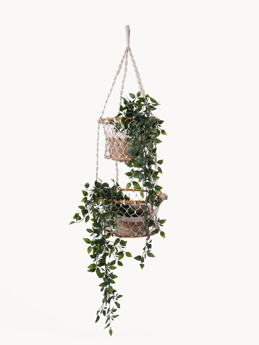 Verdure Duo Hanging Basket
